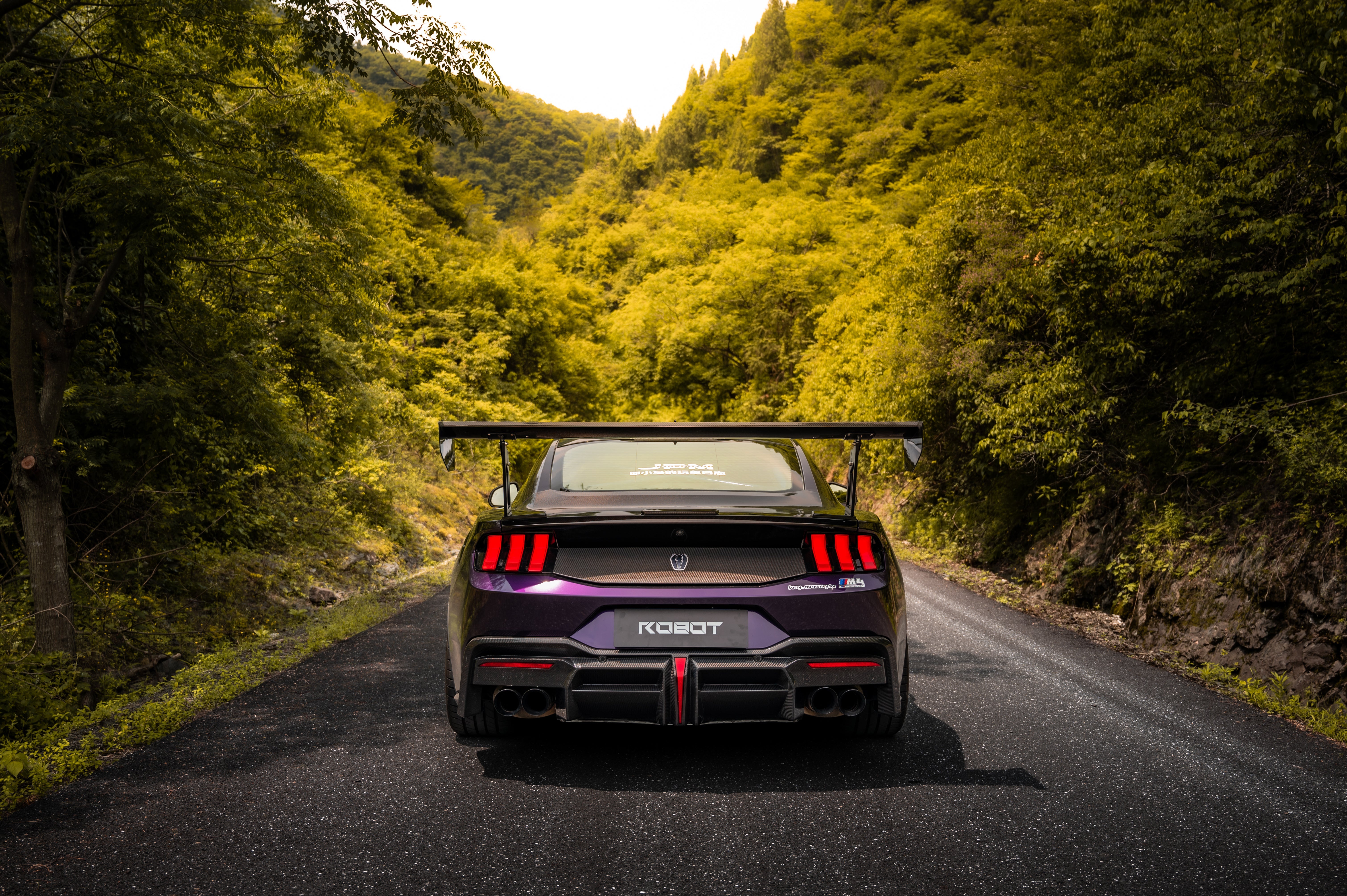 Ford Mustang S650 2024-ON with Aftermarket Parts - DARKSTAR Rear Diffuser Carbon Fiber from Robot Craftsman Ford Mustang S650 2024-ON with Aftermarket Parts - DARKSTAR Rear Diffuser Carbon Fiber from Robot Craftsman