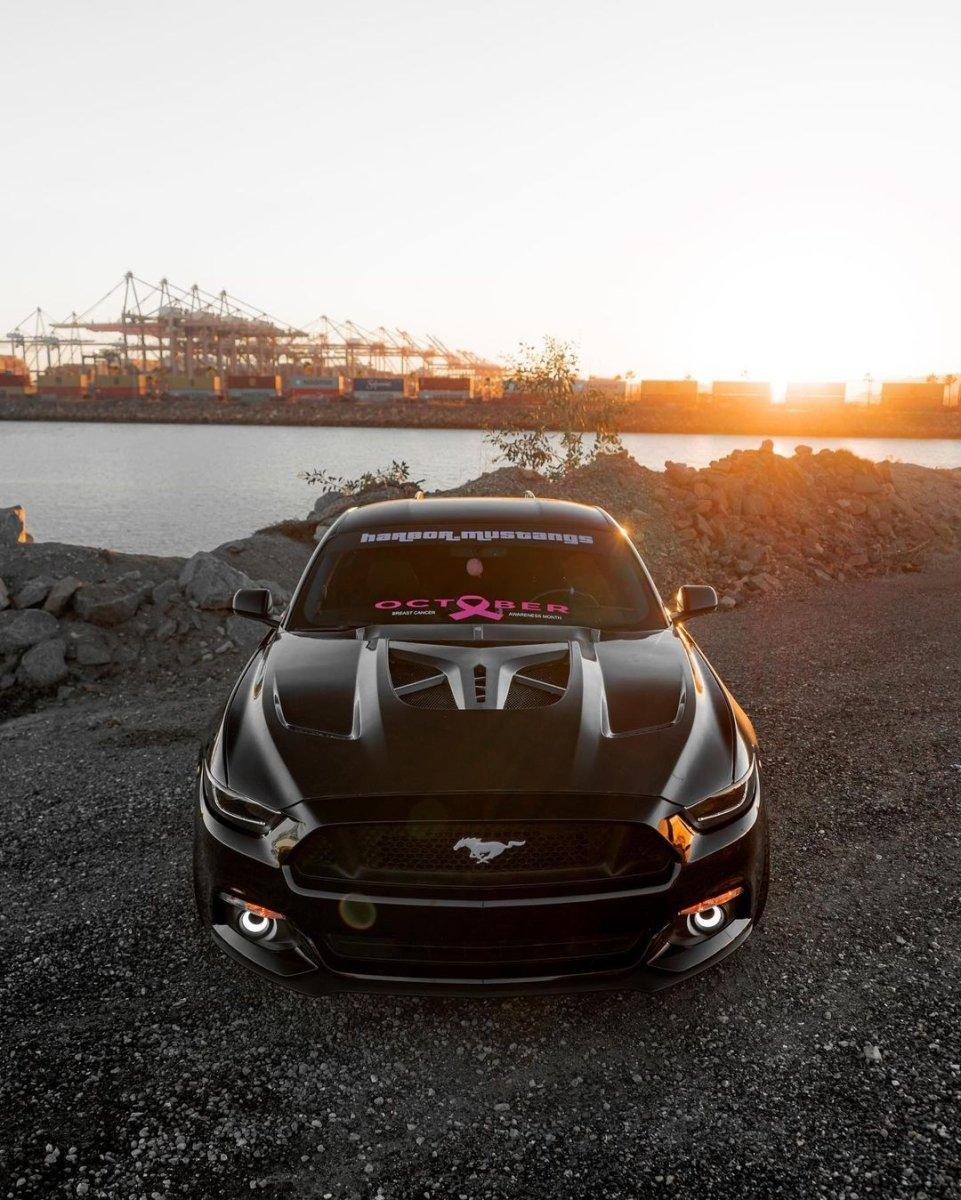 Ford Mustang Ecoboost V6 GT S550.1 2015-2017 & Mustang Ecoboost V6 GT March1 Bullitt S550.2 2018-2023 with Aftermarket Parts - "DAWN" Hood Bonnet Carbon Fiber / FRP from Robot Craftsman