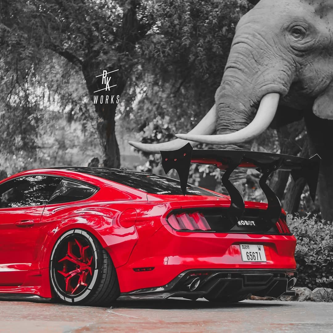 Ford Mustang Ecoboost V6 GT March1 Bullitt S550.1 S550.2 2015-2023 (note: dual exhaust tips) with Aftermarket Parts - "STORM" Rear Diffuser Carbon Fiber / FRP from Robot Craftsman