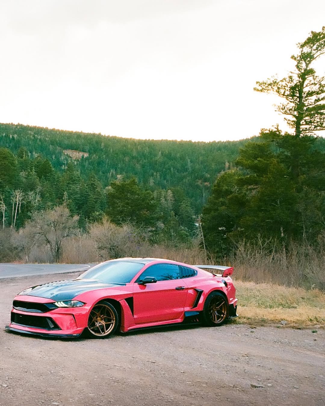 Ford Mustang Ecoboost V6 GT S550.1 2015 2016 2017 & Mustang Ecoboost V6 GT March1 Bullitt S550.2 2018 2019 2020 2021 2022 2023 with Aftermarket Parts - "DAWN" Hood Bonnet Carbon Fiber / FRP from Robot Craftsman