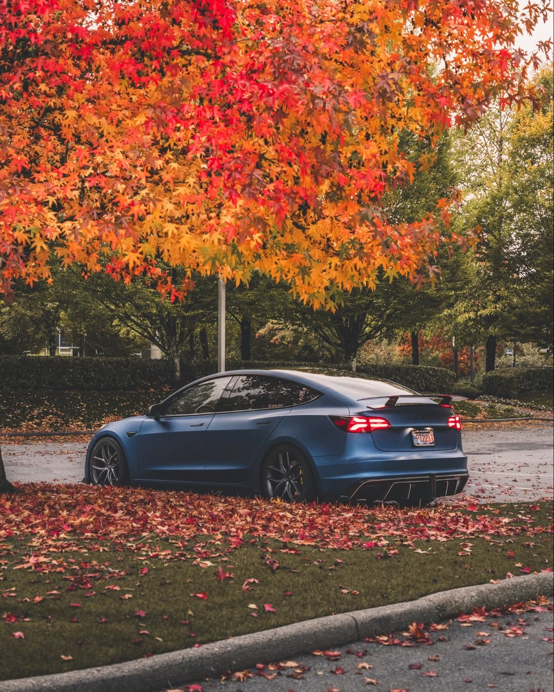 Tesla Model 3 Performance Long Range Standard Base 2017 2018 2019 2020 2021 2022 2023 with Aftermarket Parts - Crypton Rear Spoiler Wing Carbon Fiber / FRP from Robot Craftsman