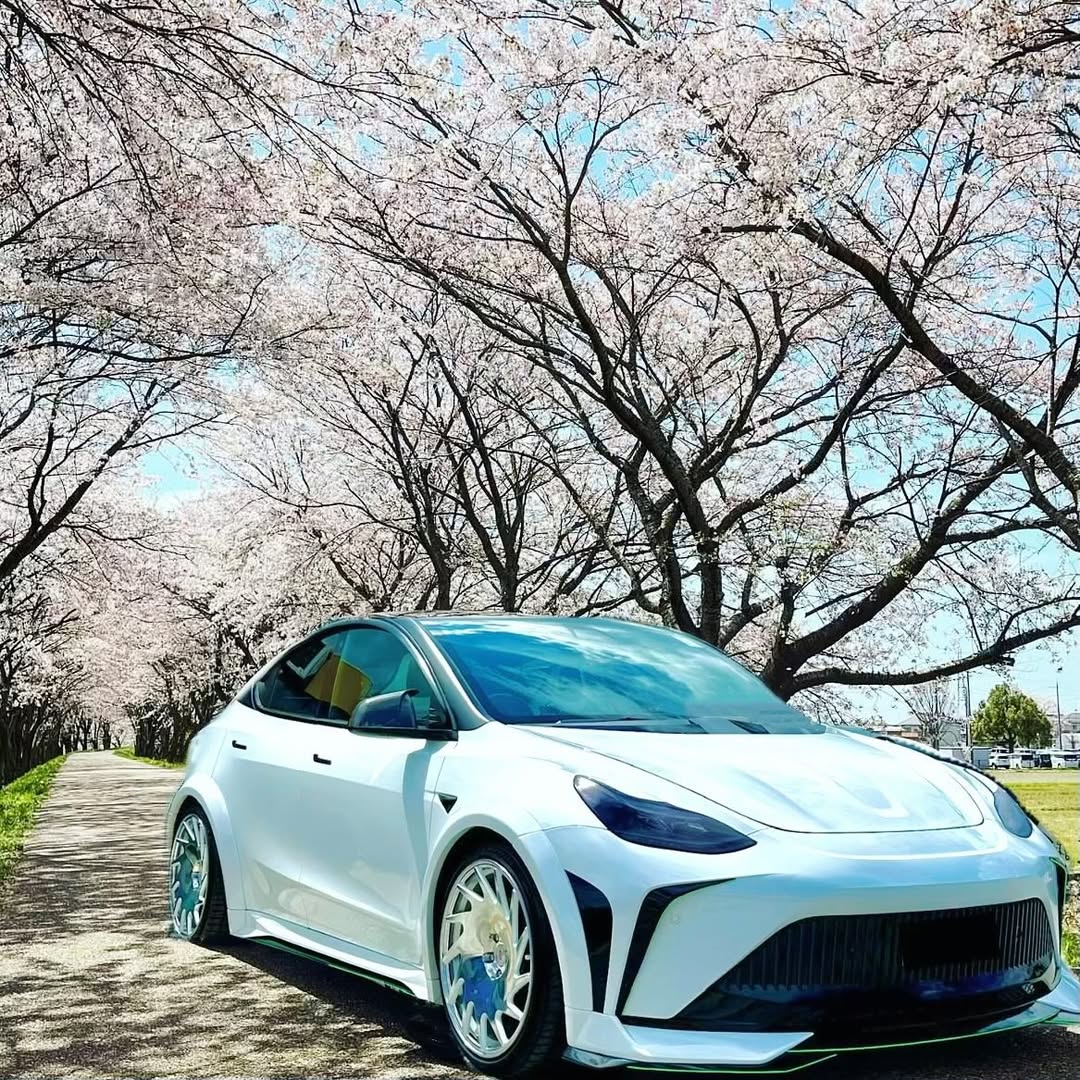 Tesla Model Y Performance AWD Long Range RWD Standard 2020 2021 2022 2023 2024 with Aftermarket Parts - "STARSHIP" Side Skirts PP from Robot Craftsman