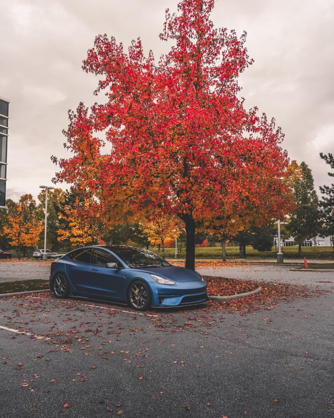 Tesla Model 3 Performance Long Range Standard Base 2017 2018 2019 2020 2021 2022 2023 with Aftermarket Parts - Crypton Front Bumper & Lip Carbon Fiber / FRP from Robot Craftsman