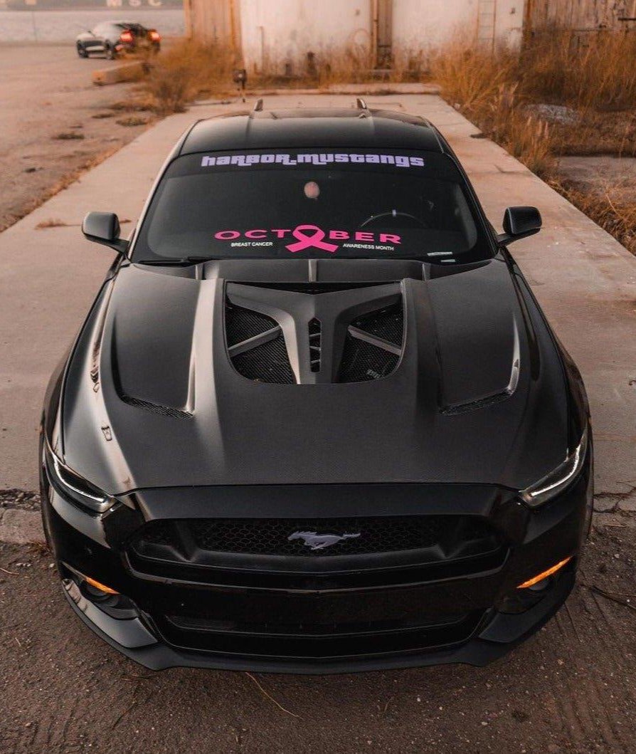 Ford Mustang Ecoboost V6 GT S550.1 2015-2017 & Mustang Ecoboost V6 GT March1 Bullitt S550.2 2018-2023 with Aftermarket Parts - "DAWN"  Hood Bonnet Carbon Fiber / FRP from Robot Craftsman