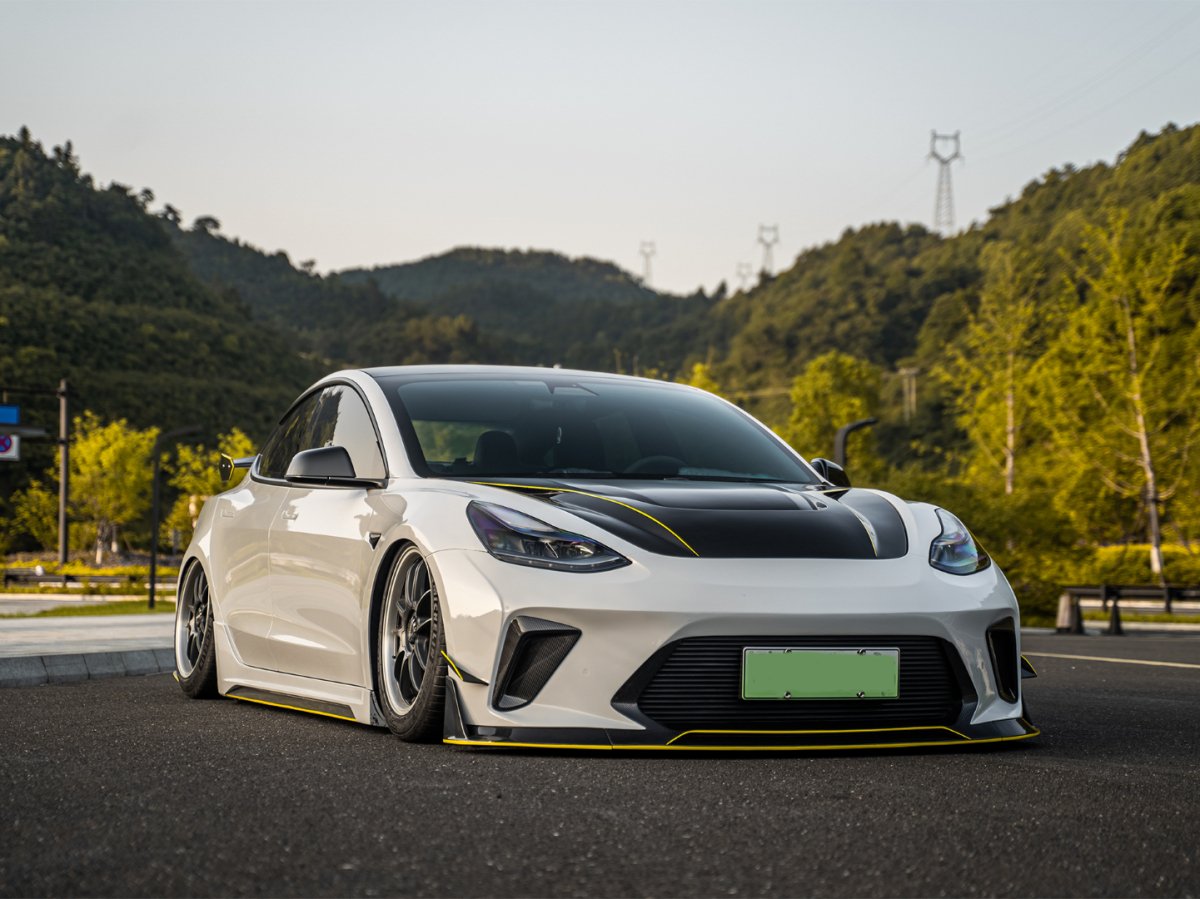 Tesla Model 3 Performance Long Range Standard Base 2017 2018 2019 2020 2021 2022 2023 with Aftermarket Parts - "Hacker" Narrow Body Front Bumper Canards Carbon Fiber / FRP from Robot Craftsman