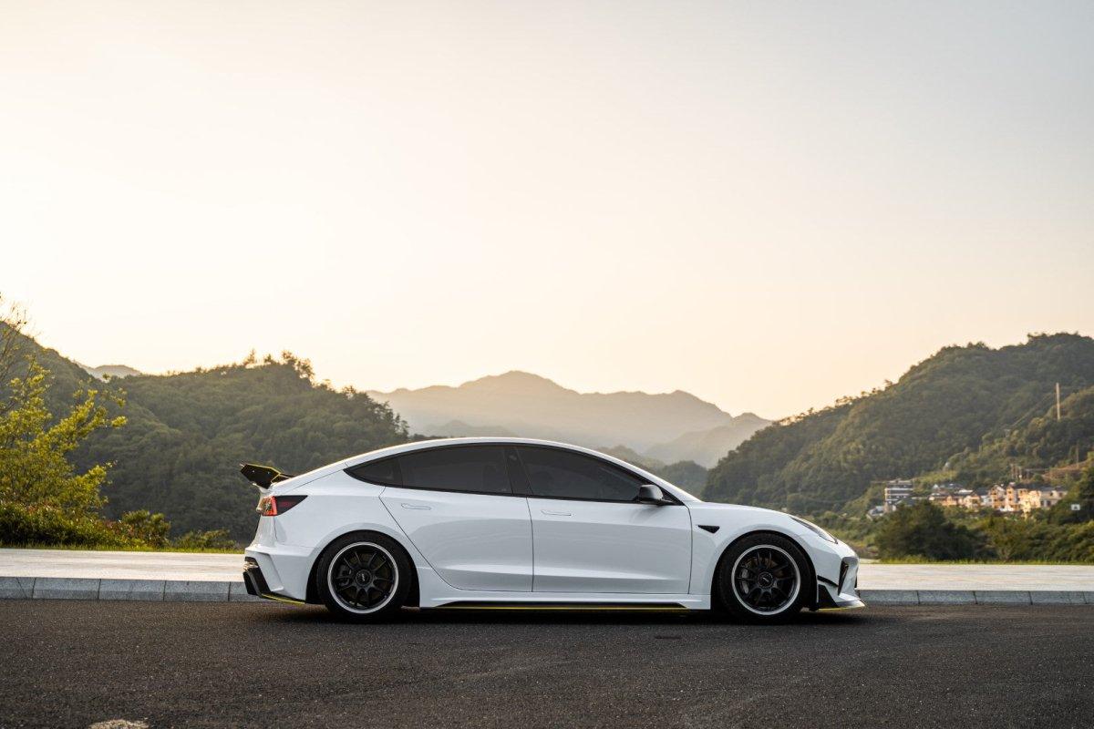 Tesla Model 3 Performance Long Range Standard Base 2017 2018 2019 2020 2021 2022 2023 with Aftermarket Parts - "Hacker" Narrow Body Side Skirts Carbon Fiber / FRP from Robot Craftsman